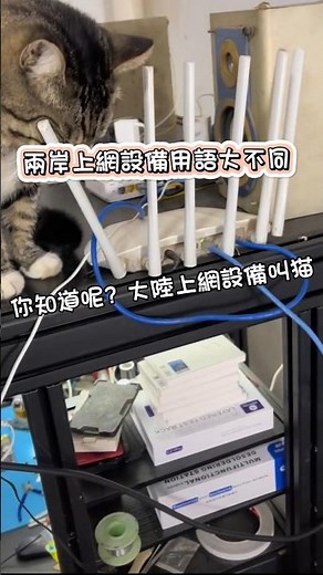 兩岸數據器說法不一樣...小烏龜和猫差別...#勾樂#modem#調變解調器#adsl#vdsl
