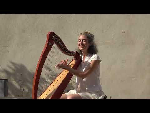 DFG TV Avignon 2025 (1)