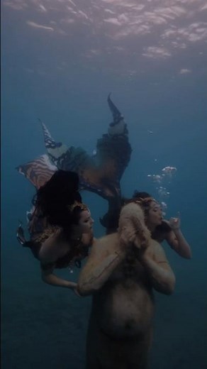 The MERMAIDS heard his call! 🐚 👀 #mermaids #underwater #fantasy