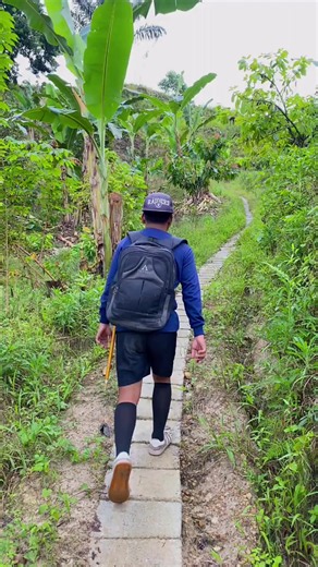 Cari durian ke gunung udah lama banget gak makan duria lokal, pohonnya gede banget😭 #durian #bolang #food