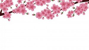 Animation Cherry Blossom Petals Scattering Stock Footage Video (100% Royalty-free) 3436381887 | Shutterstock