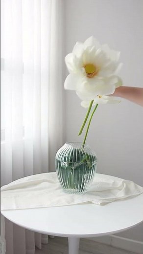 Easy Cake Recipe for Beginners | Step-By-Step Guide