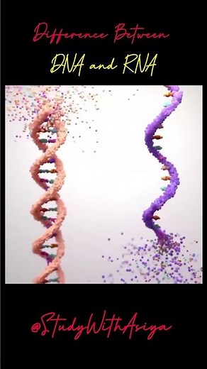 Difference Between DNA and RNA Explained Clearly 🧬|Structure, Functions&Comparison|NEET 2026 Biology