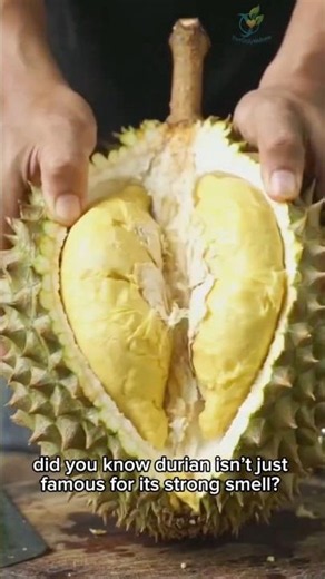 durian smells strong… but it’s packed with nutrients #durian #fruitfacts #nutrition