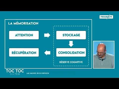 Les 4 étapes de la mémorisation