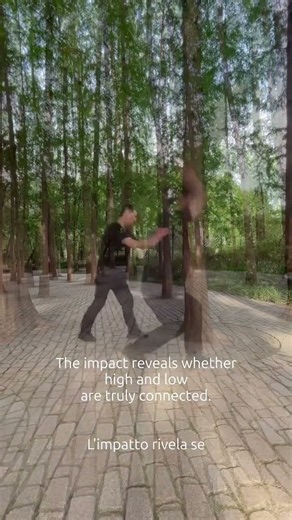 High and low connected?!#xinyiliuhequan #qianshiying #internalmartialarts #taichichuan #qigong