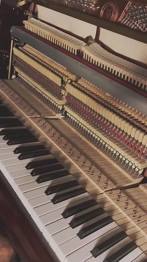 Marc Hanania على TikTok