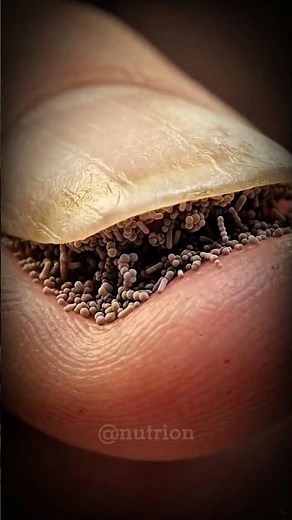 What's Living Under Your Fingernails?