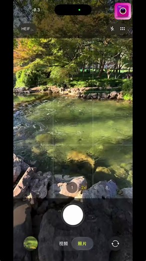 Enhance Your Photos with High-Quality Zoom Techniques