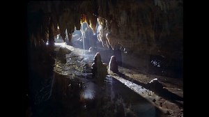 Cave of the Mounds was accidentally discovered on August 4, 1939. Workers removing high-quality limestone from a quarry on the Brigham Farm blasted into the Cave. The cave itself is more than a million years old and the rock it is formed in is over 400 million years old! | Cave of the Mounds National Natural Landmark