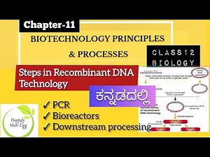 Class12 Steps in Recombinant DNA Technology ಕನ್ನಡ| biology NCERT | NEET ‪@biostudymadeeasy‬​