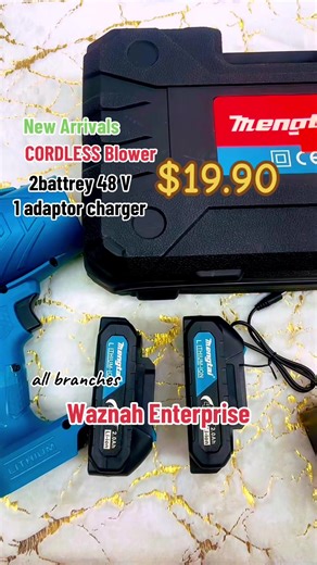 48V Cordless Blower with Extra Batteries for $19.90