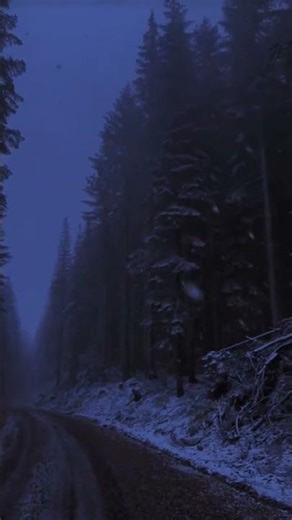 Desolate Beauty — The Dark Aesthetic of an Empty World@ShubhAndKajal