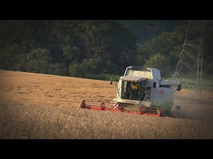Weizen Dreschen 2016 | Claas Lexion 470 | John Deere 7700