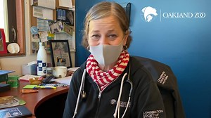 1.3K views · 63 reactions | Got Vet Hospital questions? Dr. Herman has answers! Check out our first "Vet Q&A" below. Post YOUR vet questions in the comments and we'll answer more in our next video! | Oakland Zoo | Facebook