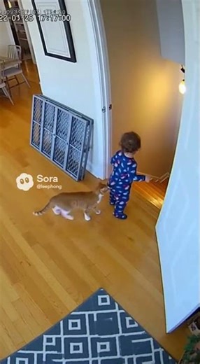 Heroic Animal Rescues Baby in Heart-Stopping Moment Caught on Camera