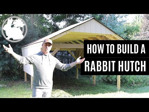How To Build A Rabbit Hutch For Hanging Cages