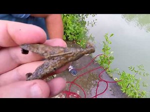 UNE TRÈS TRÈS BONNE PÈCHE (Part-2) (Pèche a l'aimant)