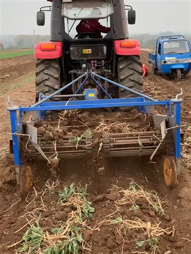 A medicinal herb harvester is an agricultural machinery specifically designed for harvesting root and stem Chinese medicinal herbs. It efficiently and minimally separates medicinal herbs from the soil through vibration excavation, screening, and other methods.