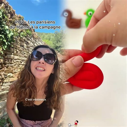 Ils sont comme ça chez vous 🤣 #humour #parodie #campagne