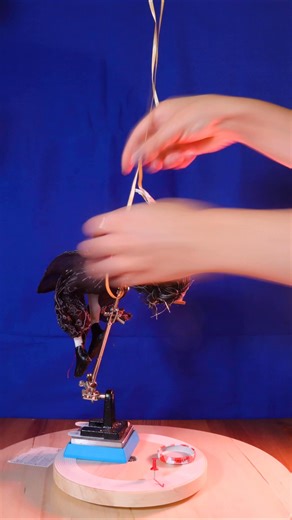 Circus trapeze artist character animation tests 🎪🎡🎠 #stopmotion #animation #stopmotionanimation #circus #trapeze #behindthescenes #ArtistsOnFacebook | Thou_art_lumi