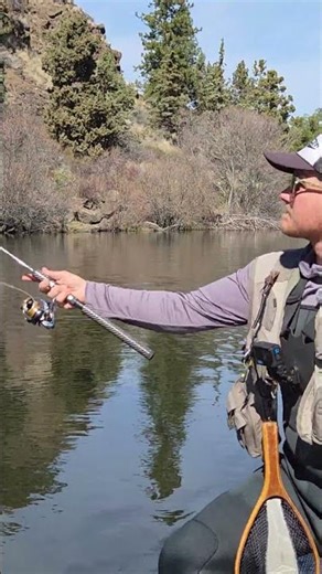 Rapala/Spoon/Fly Rig