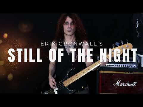 Whitesnake - Still of the night - bass playthrough ( Erik Grönwall's version )