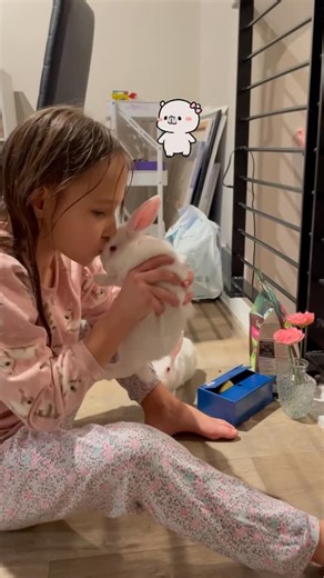 Luna Snowball on Instagram: "Bed time ritual is part of baby bunnies schedule ☺️ #bunny #rabbit #pets #animals #cute"