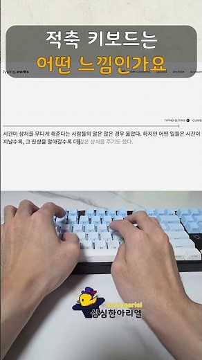 적축 키보드 타건감 알아보기 | 앱코 CK250