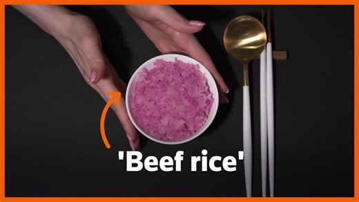 South Korea scientists tout 'beef rice' as source of protein for the future