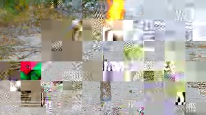 251K views · 1.6K reactions | Incredible chain reaction using a bottle of matches ✨ Credit: Newsflare | Daily Viral Stories | Facebook