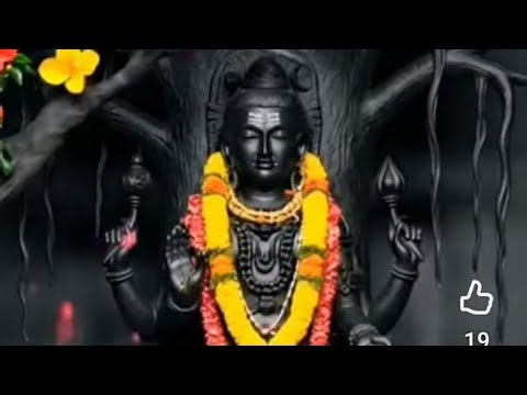 Rajeevvlogs is live! വരുമോ വരുമോ എല്ലാരും വരുമോ 🙏🙏🙏