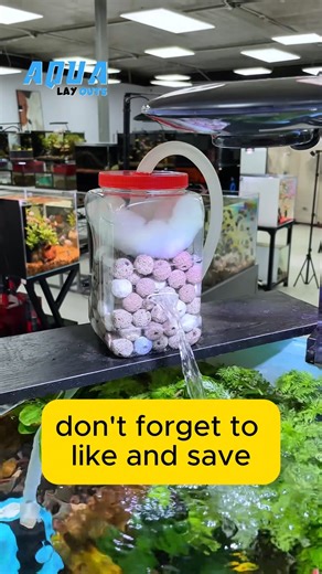 Aqua Layouts on Instagram: "Budget Aquarist Hack #aqualayout #aquariumfish #viral #reels #fishtank #fishtanks #fishlover #aqualover #aquaX #foryou #viral #aquascape"