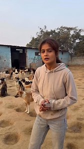 2.8K reactions · 84 shares | Aaj mera saath de jo social media ka sahi use kr rhe hai - bank account details Account no. 50200079471040 Ifsc code - HDFC0001408 Holder name - street worldz trust Branch - vikaspuri Upi id Yespay.bizsbiz58385@yesbankltd Razorpay link in bio Scanner in highlight | Jagriti709 | Facebook