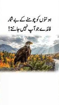 Eagle sitting on a tree branch | Power of Shaheen#eagle #viralvideos