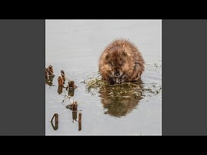 Nina Has Crazy Farts (Nina Poop)