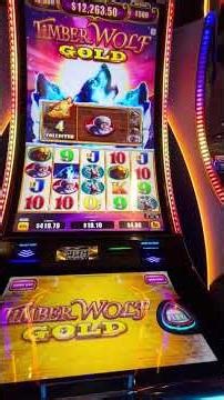 Timber wolf gold bonus😊🙃🤑 #slot #casino #please like and subscribe.