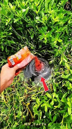 😱 24/7 DIY Trap! Set It Once—Fish Won’t Stop Coming! 🐟⚡