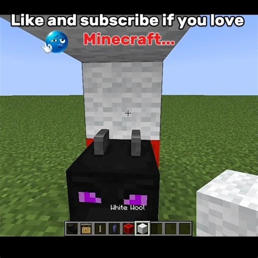 Minecraft viral hack 💯 #minecraft