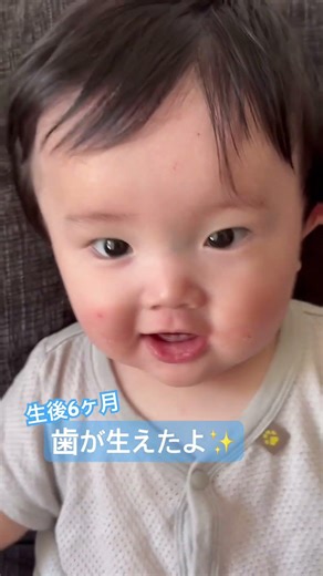 生後6ヶ月歯が生えた✨