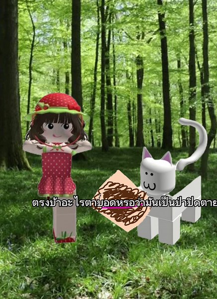 หนูน้อยไม่หมวกแดงกับแมวถังขยะเดอะซีรี่