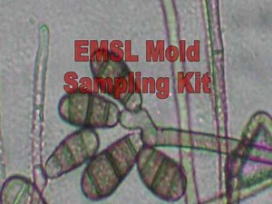 Mold Sampling Kit Instructions from EMSL Analytical
