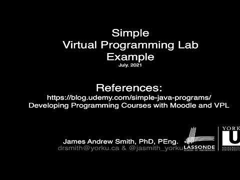 Simple Virtual Programming Lab Example: Java