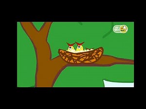 Enlightment Corner Learn with ducktv ducktv