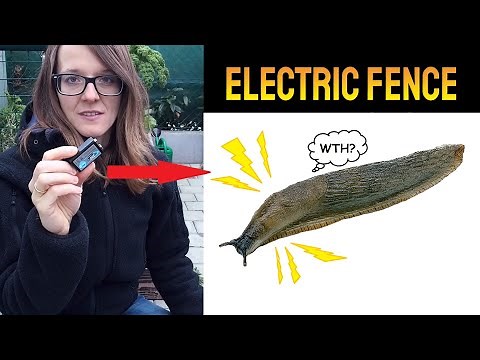 DIY Electrical Snail and Slug Fence