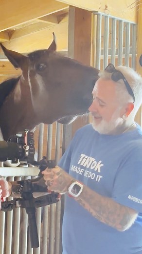 I’m over here just trying to film a simple nebulizer treatment, minding my own business… and this nosey little neighbor decides today’s the day to become my personal ear cleaner 🐴👅😂 Professionalism? Gone. Personal space? Nonexistent. Life with racehorses is never boring! 🫠 #harnessracing #horseproblems | Chris Gooden Visuals