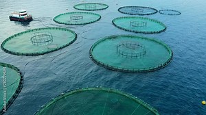 Offshore aquaculture farming, fish growing cages in calm sea water