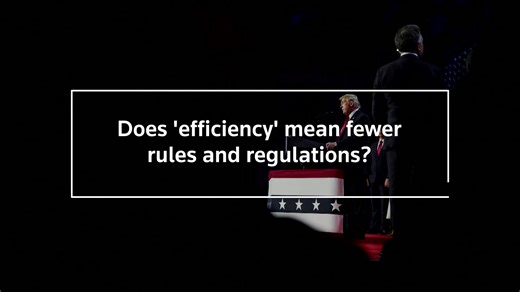 8.7K views · 218 reactions | The world saw their relationship blossom during the U.S. presidential race with public support, chats on social media and $1 million giveaways. Now, the world’s richest man, Elon Musk, stands to benefit greatly from his ties to President-elect Donald Trump. | Reuters | Facebook