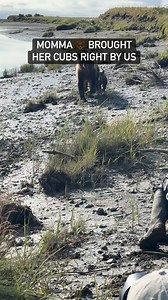 575K views · 20K reactions | Just another magical encounter on...