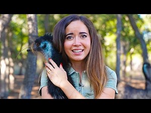 the biggest announcement of my life